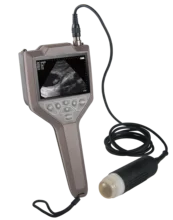 Handheld portable Veterinary ultrasound scanner machine on sale M30
Handheld portable Veterinary ultrasound scanner machine on sale M30