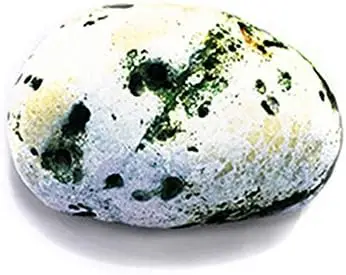 Изогнутые реалистичные камни, напольное украшение, набивной броск, большая каменная галька, цвет D1, милые предметы, пляжный декор, Миниатюрная лампа из Медузы
Изогнутые реалистичные камни, напольное украшение, набивной броск, большая каменная галька, цвет D1, милые предметы, пляжный декор, Миниатюрная лампа из Медузы