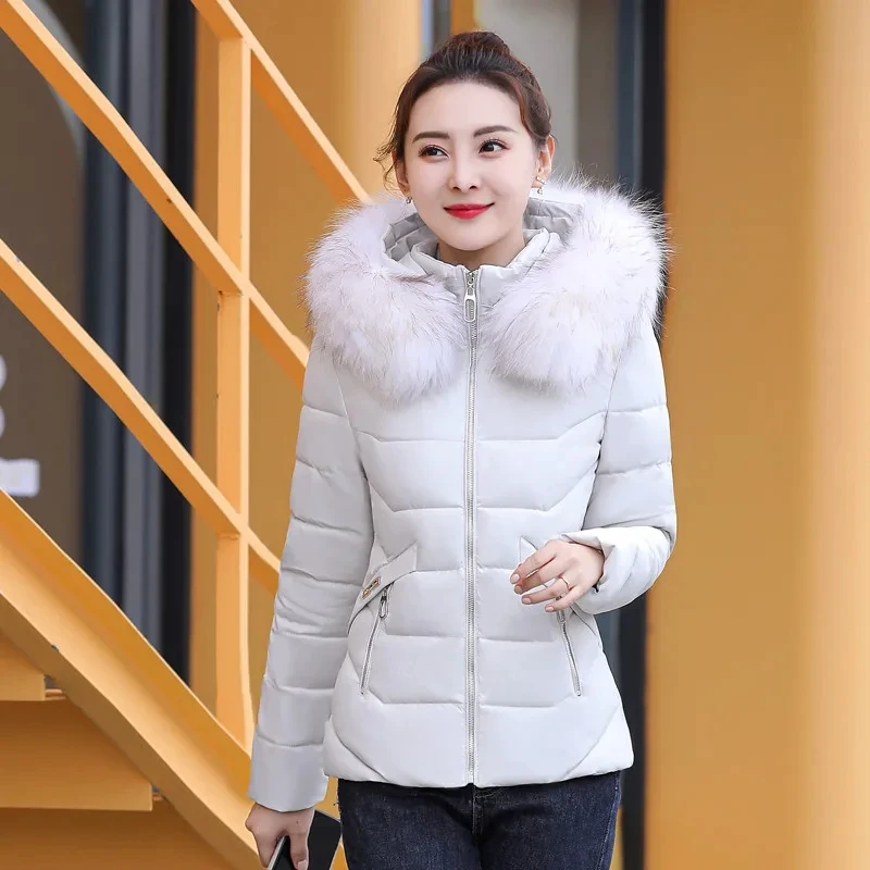 2023 New Winter Jacket Women Parkas Fur Collar Hooded Thick Down Cotton Padded Parka Female Jacket Short Coat Slim Warm Outwear
2023 New Winter Jacket Women Parkas Fur Collar Hooded Thick Down Cotton Padded Parka Female Jacket Short Coat Slim Warm Outwear