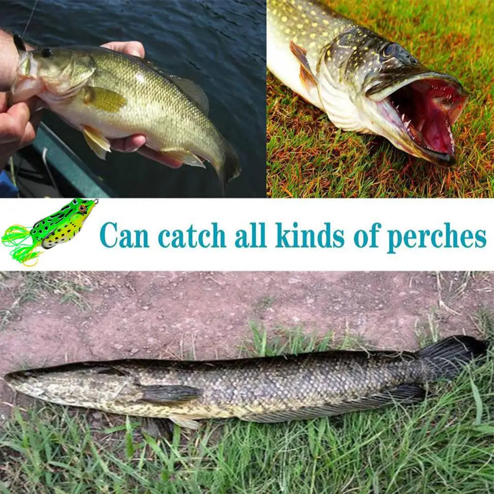 1PCS Frog Soft Bait Fishing Lures Artificial Silicone Bait Spinner Accessories Fishing Wobbler Artificial Crank Bait Fake T D8T3
1PCS Frog Soft Bait Fishing Lures Artificial Silicone Bait Spinner Accessories Fishing Wobbler Artificial Crank Bait Fake T D8T3