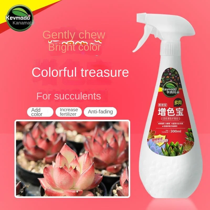 Succulent Plant Color Enhancement Treasure Nutrient Solution Household Flower Color Aid Anti-fading Care Solution
Succulent Plant Color Enhancement Treasure Nutrient Solution Household Flower Color Aid Anti-fading Care Solution