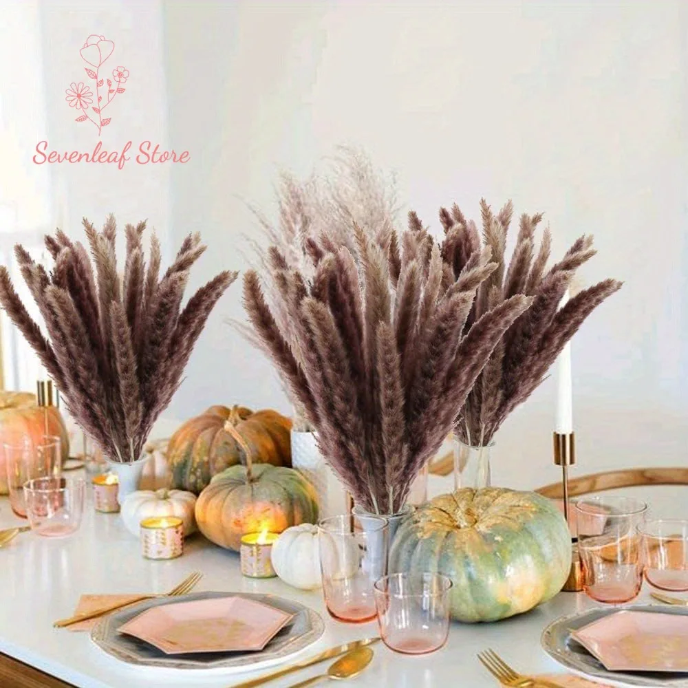 30pcs Natural Pampa Grass Dried Flower Bouquet for Christmas Decor Real Phragmites Weddings Party Boho Home Decor Halloween Gift
30pcs Natural Pampa Grass Dried Flower Bouquet for Christmas Decor Real Phragmites Weddings Party Boho Home Decor Halloween Gift