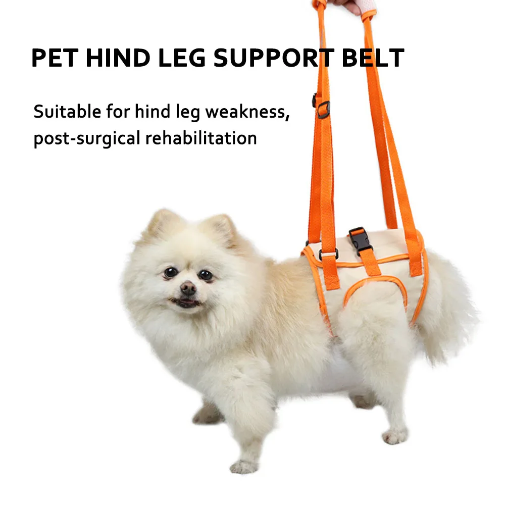 Pet Hind Leg Assist Strap Dog Walking Booster Belt Senior Dog Disability Injury Lifting Belt Outdoor Sports Support Lanyard
Pet Hind Leg Assist Strap Dog Walking Booster Belt Senior Dog Disability Injury Lifting Belt Outdoor Sports Support Lanyard