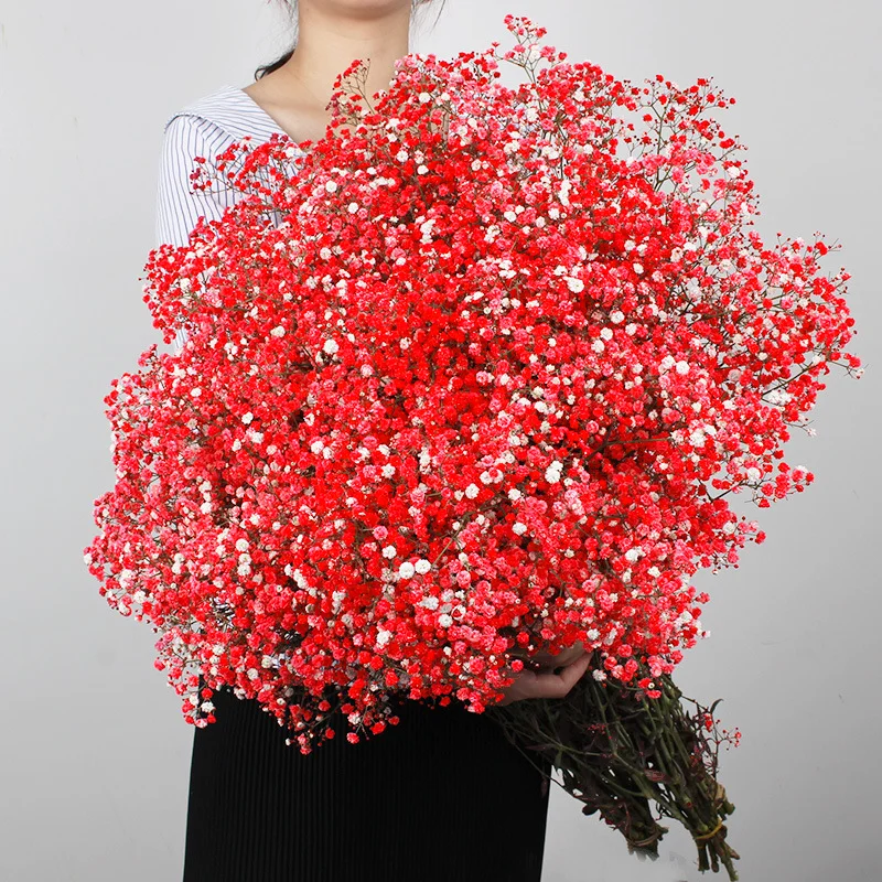 Dried Flowers Baby's Breath Bouquet Home Decor Weddings DIY Festive Christmas Decorations Flowers Style Material Occasion Deco
Dried Flowers Baby's Breath Bouquet Home Decor Weddings DIY Festive Christmas Decorations Flowers Style Material Occasion Deco