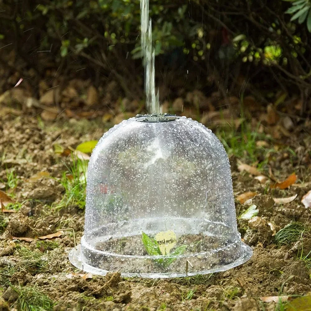 6Pcs Garden Cloche Plant Bell Cover Anti-freeze Bell Jar Nail Plastic Greenhouse For Frost Freeze Cold Plant Protection Grow Box
6Pcs Garden Cloche Plant Bell Cover Anti-freeze Bell Jar Nail Plastic Greenhouse For Frost Freeze Cold Plant Protection Grow Box