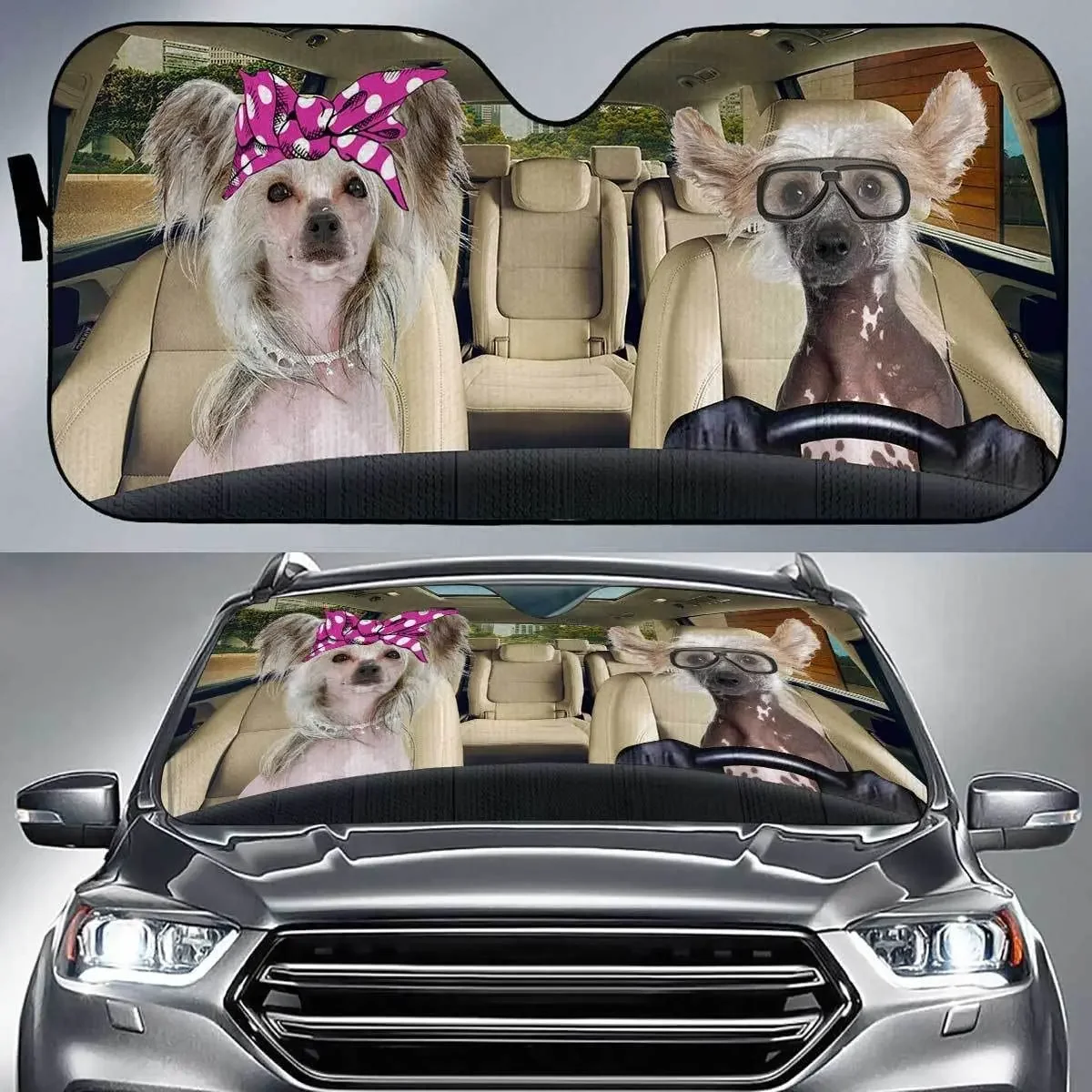 

Funny Chinese Crested Dogs Couple Driving Left Hand Car Sunshade, Chinese Crested Dogs Wearing Pink Headband and Glasses Auto Su