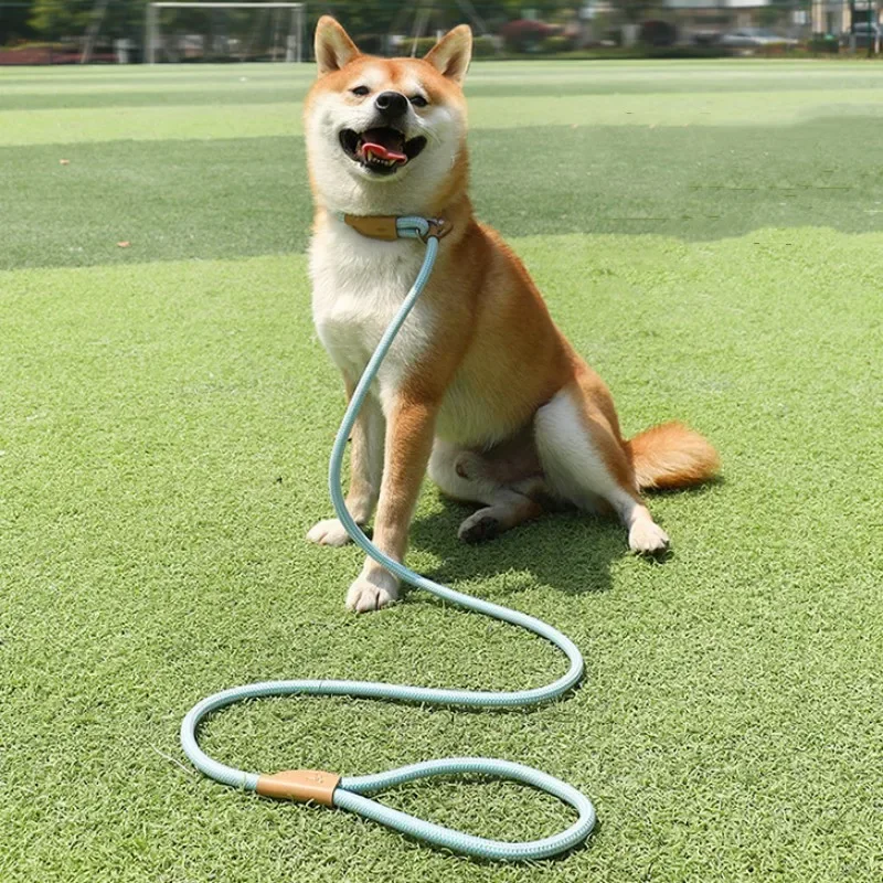 Dog Leash P Rope Dogs Chain Adjustable P Chain Collar Leash for Dog Walking Dogs Leashes Puppy Training Leashes Pet Supplies
Dog Leash P Rope Dogs Chain Adjustable P Chain Collar Leash for Dog Walking Dogs Leashes Puppy Training Leashes Pet Supplies