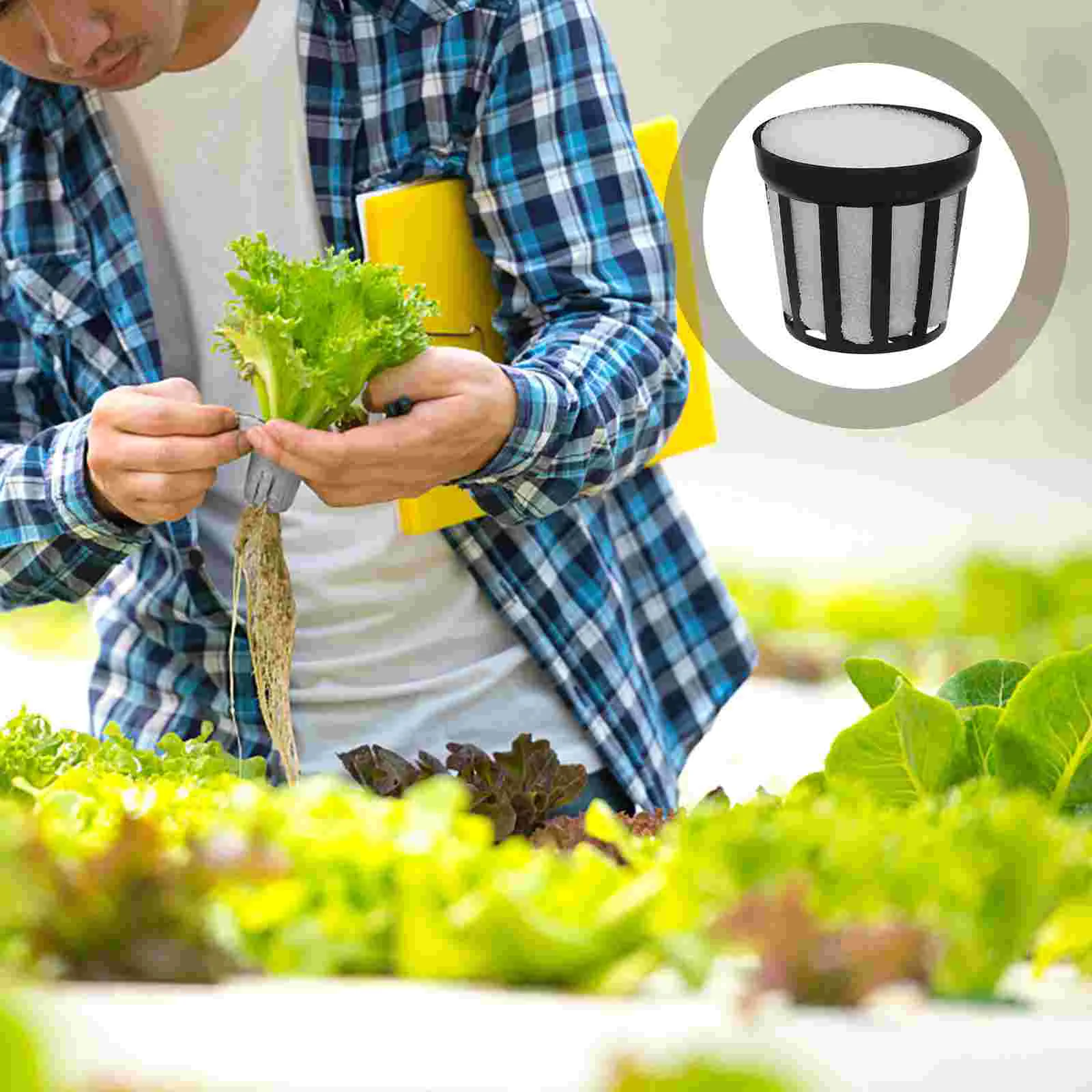 Hydroponic Net Pot Planting Sponge Cup Basket 20pcs Seedling Mesh Indoor Plastic Orchid Pots with Holes Botanical
Hydroponic Net Pot Planting Sponge Cup Basket 20pcs Seedling Mesh Indoor Plastic Orchid Pots with Holes Botanical