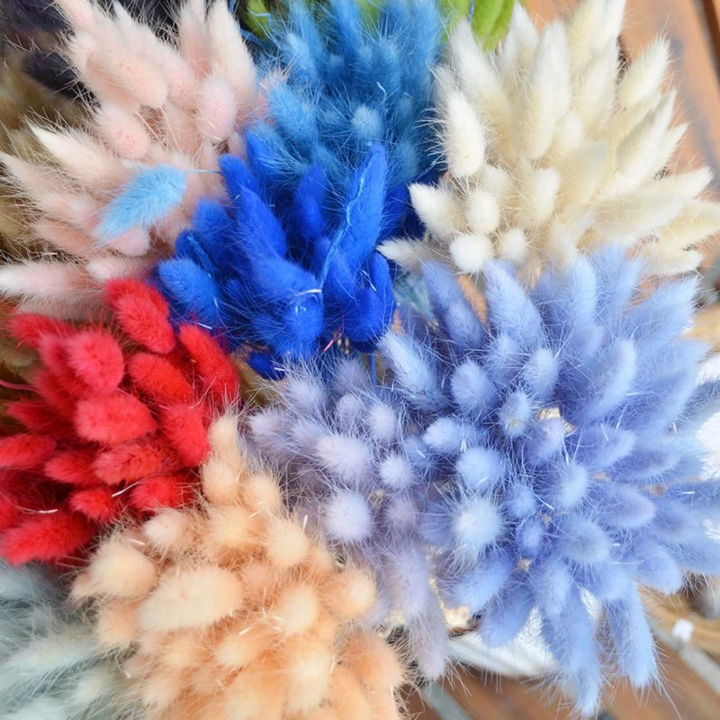 50pcs/Lot Dry Flowers Bouquet Colorful Rabbit Tail Grass Dried Flowers DIY Home Wedding Garden Decoration Party Supplies
50pcs/Lot Dry Flowers Bouquet Colorful Rabbit Tail Grass Dried Flowers DIY Home Wedding Garden Decoration Party Supplies