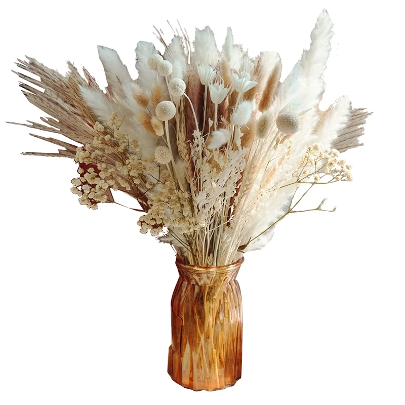 Natural Dried Pampas Grass,Dried Flowers Reed Grass,17 Inch Pampas Grass Branches For Flower Arrangements Home Decor
Natural Dried Pampas Grass,Dried Flowers Reed Grass,17 Inch Pampas Grass Branches For Flower Arrangements Home Decor