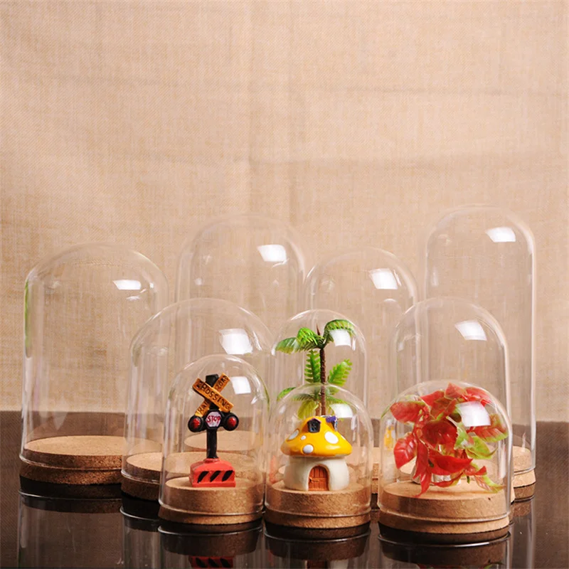 

12 X (5 Size) Clear Glass Display Dome Cover Cloche Bell Jar Succulent Terrariums Wood Cork Office Table Decor DIY