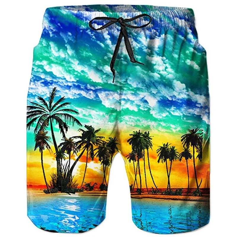 

2024 Tropical Palm Tree Beach Shorts Pants Swimsuit 3D Print Casual Sports Shorts Men Trunks Board Shorts Quick Dry