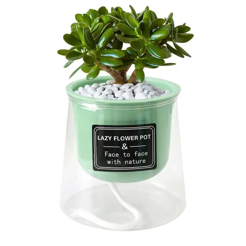 Seedling Pots Flower Pots Reusable Seedling Starting Pots Plants Flower Pots For Vegetables Plants Flowers Succulents
Seedling Pots Flower Pots Reusable Seedling Starting Pots Plants Flower Pots For Vegetables Plants Flowers Succulents
