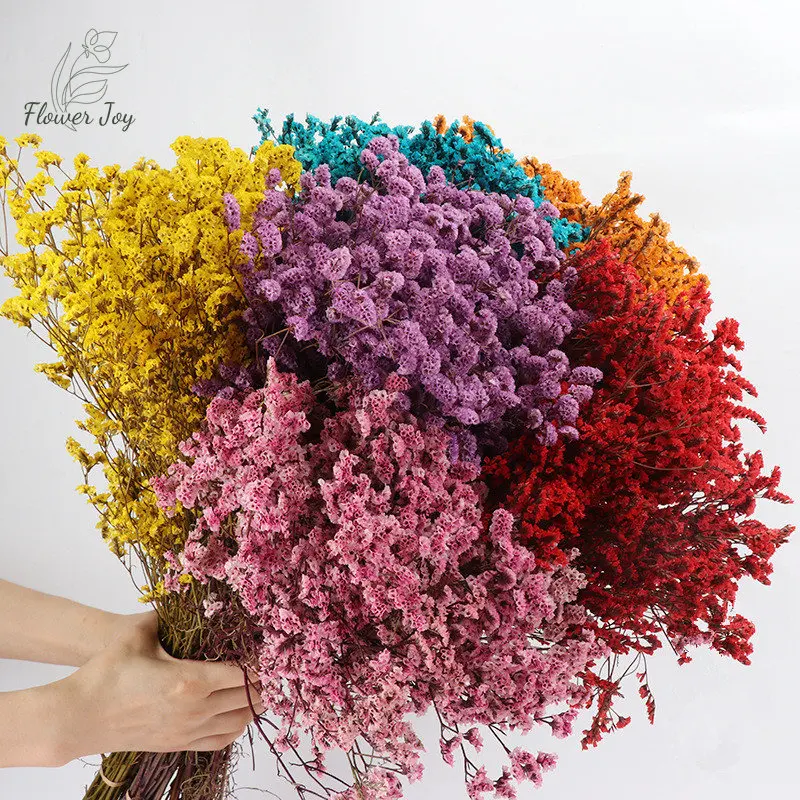 Natural Dried Flowers Fresh Preserved Crystal Grass Eternal Garden Table Decor for Wedding Christmas New Year Modern Decoration
Natural Dried Flowers Fresh Preserved Crystal Grass Eternal Garden Table Decor for Wedding Christmas New Year Modern Decoration