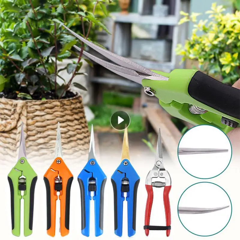1pc Secateurs Bonsai Shears Metal Gardening Scissor Pruning Tool Hand Cutter Fruit Picking Weed Household Potted Garden Tools
1pc Secateurs Bonsai Shears Metal Gardening Scissor Pruning Tool Hand Cutter Fruit Picking Weed Household Potted Garden Tools
