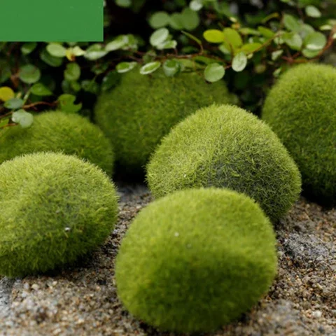 2020 Miniature Christmas Fairy Garden Grass Stone Figurine Home Decor New Year 2021 Decoration Accessories 1PC
2020 Miniature Christmas Fairy Garden Grass Stone Figurine Home Decor New Year 2021 Decoration Accessories 1PC