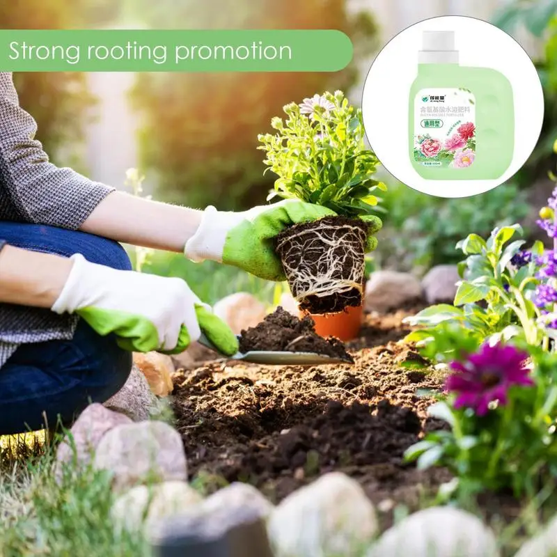 Hydroponic Plant Nutrient Solution 500ml Liquid Plant Growing Fertilizer Concentrated Soil Enhancer Compost For Vegetable Flower
Hydroponic Plant Nutrient Solution 500ml Liquid Plant Growing Fertilizer Concentrated Soil Enhancer Compost For Vegetable Flower