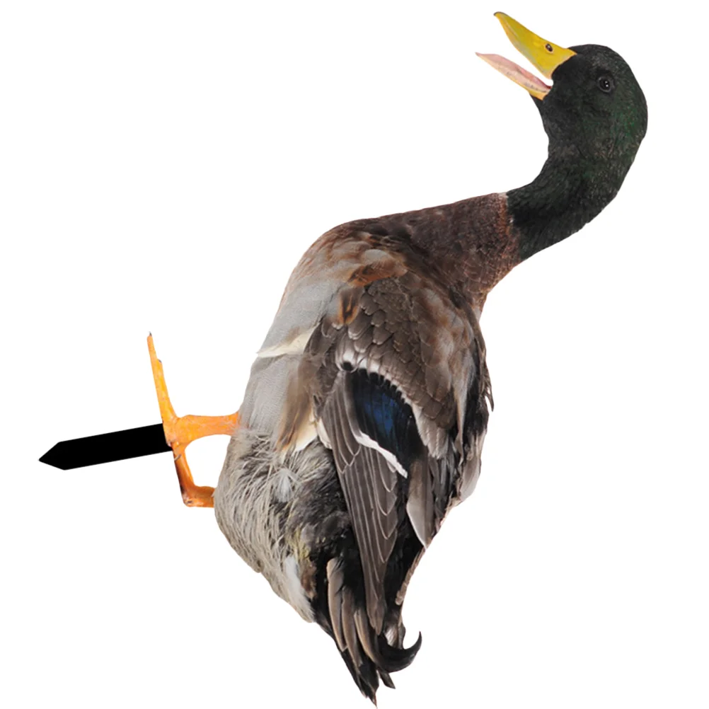 Garden Decoration Insert Duck Animal Acrylic Stake Wild Three-dimensional Lawn Ornament
Garden Decoration Insert Duck Animal Acrylic Stake Wild Three-dimensional Lawn Ornament