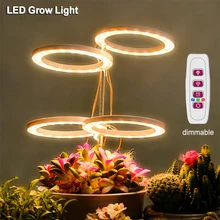 

Led Grow Light Phyto Lamp Phytolamp for Plants Seedlings Full Spectrum UV Lamp Home Phytotape Grow Tent Reef Lights with Remote