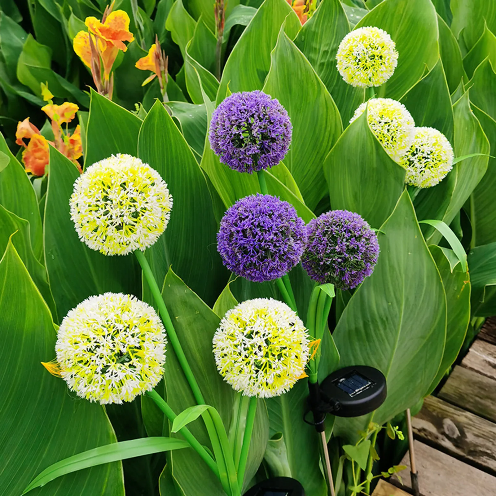Solar Lights Outdoor Garden Decor Lights With 3 Dandelion Flowers Waterproof Solar Pathway Lights For Patio Yard Outdoor Party
Solar Lights Outdoor Garden Decor Lights With 3 Dandelion Flowers Waterproof Solar Pathway Lights For Patio Yard Outdoor Party