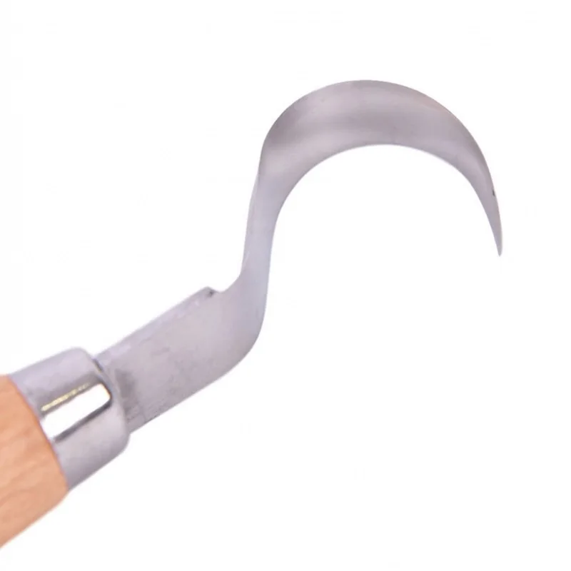 1pc Hook Cutter Stainless Iron Wood Carving Chisel Tool Woodworking Too for Basic Detailed Carving Carving Woodworkers DIY
1pc Hook Cutter Stainless Iron Wood Carving Chisel Tool Woodworking Too for Basic Detailed Carving Carving Woodworkers DIY