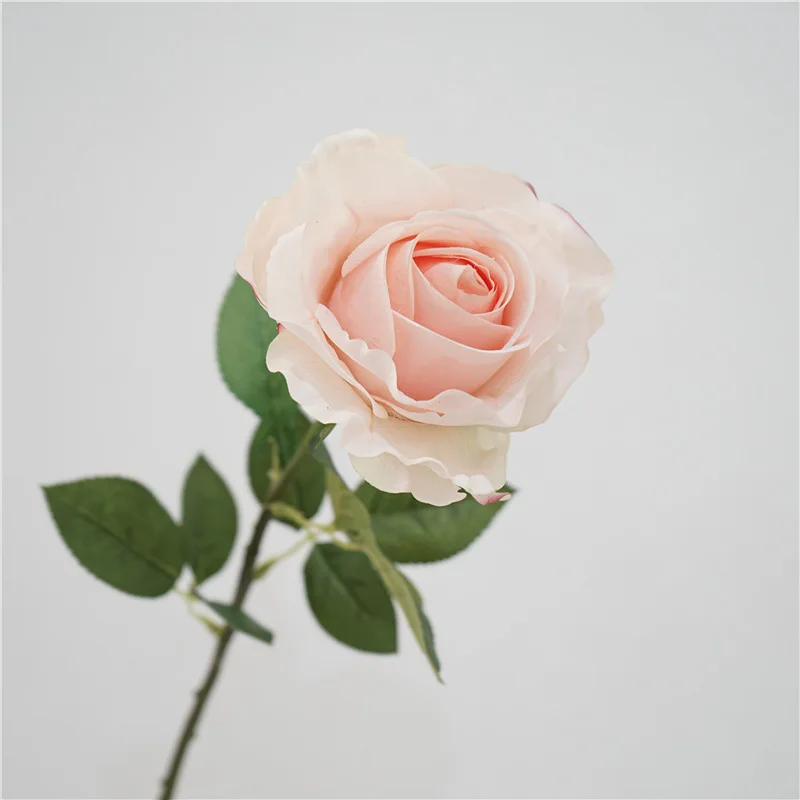 Feel Moisturizing Rose Real Touch Artificial Large Rose Flower Branch for Wedding Flower Arrangement Party Home Decorative Flore
Feel Moisturizing Rose Real Touch Artificial Large Rose Flower Branch for Wedding Flower Arrangement Party Home Decorative Flore