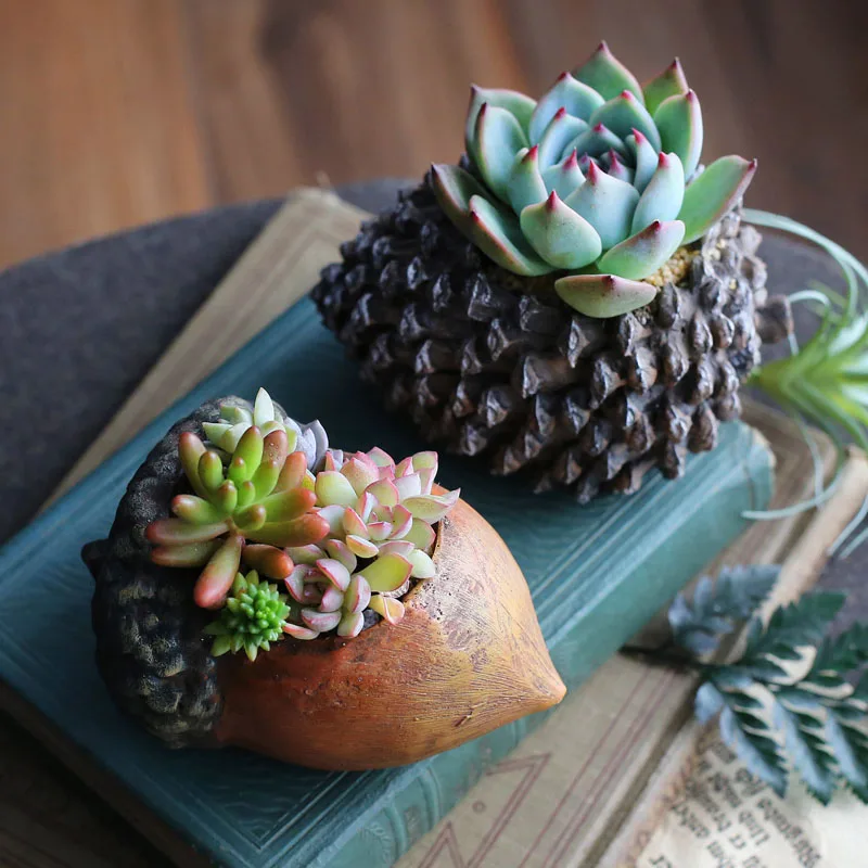 Силиконовая форма Pinecone для бетона, цветочный горшок, милый гипс для орехов, домашний декор, мини-горшок, цемент, суккуленты, фотоформа
Силиконовая форма Pinecone для бетона, цветочный горшок, милый гипс для орехов, домашний декор, мини-горшок, цемент, суккуленты, фотоформа