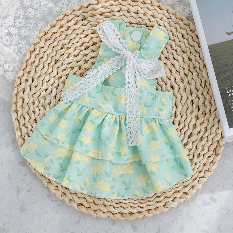 Japanese Style Teddy Princess Dress Summer Anti-hair Slip Dress Pet Bichon Clothes Spring and Summer Thin Skirt
Japanese Style Teddy Princess Dress Summer Anti-hair Slip Dress Pet Bichon Clothes Spring and Summer Thin Skirt