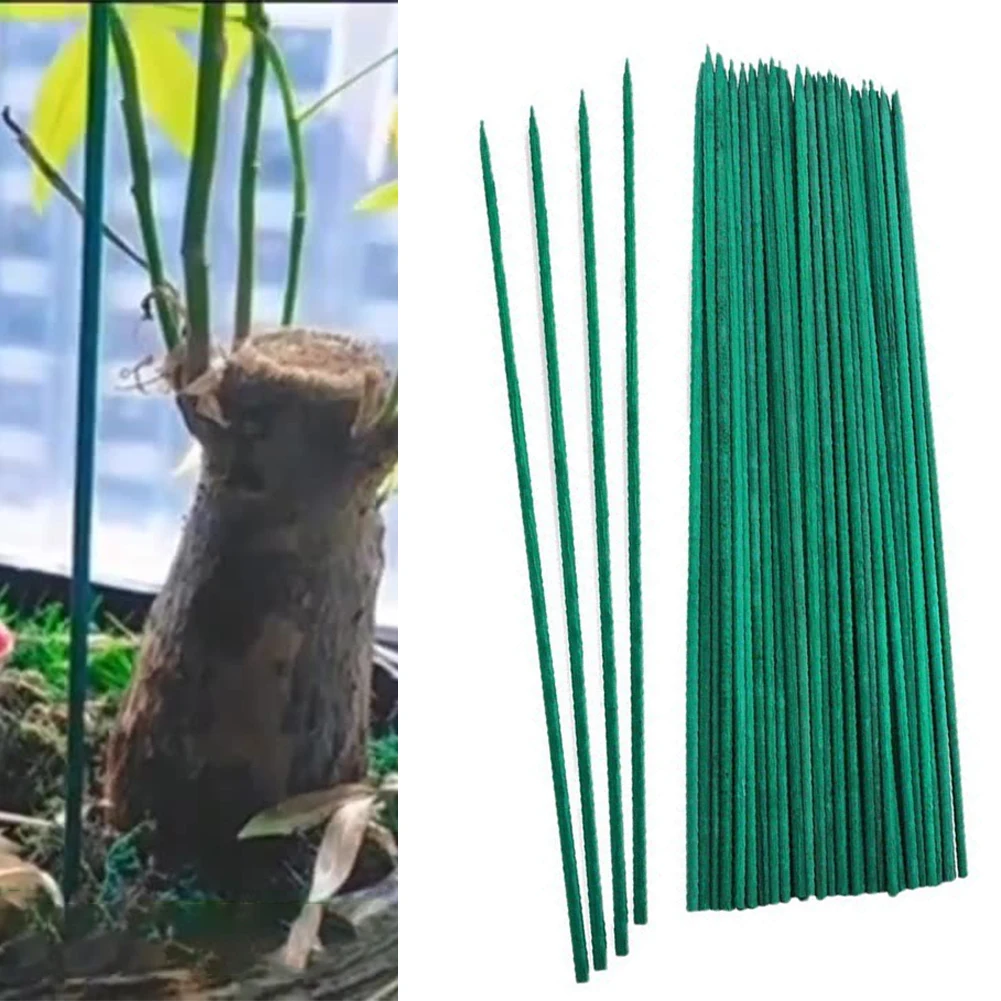 Premium 50pcs 50cm Green Plant Support Sticks Canes Floral Plant Support Stakes DIY Flower Arrangement Rod Garden Supplies
Premium 50pcs 50cm Green Plant Support Sticks Canes Floral Plant Support Stakes DIY Flower Arrangement Rod Garden Supplies