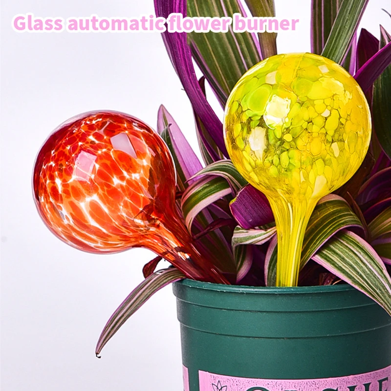 1Pc Automatic Plant Watering Bulb Globe Glass Self Watering Device Houseplant Flower Pot Garden Drip Irrigation System for Plant
1Pc Automatic Plant Watering Bulb Globe Glass Self Watering Device Houseplant Flower Pot Garden Drip Irrigation System for Plant