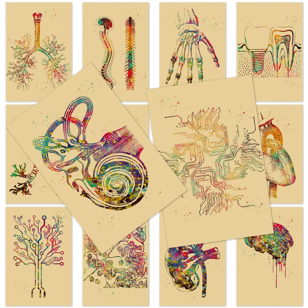 Skeleton Organs Poster Wall Artwork Human Teeth Medical Dental Clinic Pictures Aesthetic Room Decoration Kraft Paper Painting
Skeleton Organs Poster Wall Artwork Human Teeth Medical Dental Clinic Pictures Aesthetic Room Decoration Kraft Paper Painting