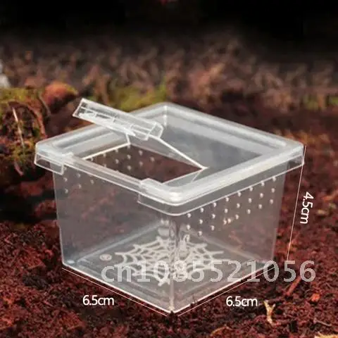 Acrylic Reptile Cage Feeding Box 1pcs Hatching Container Rearing Tank for Lizards Terrarium Tortoise Spider Beetle Insect House
Acrylic Reptile Cage Feeding Box 1pcs Hatching Container Rearing Tank for Lizards Terrarium Tortoise Spider Beetle Insect House