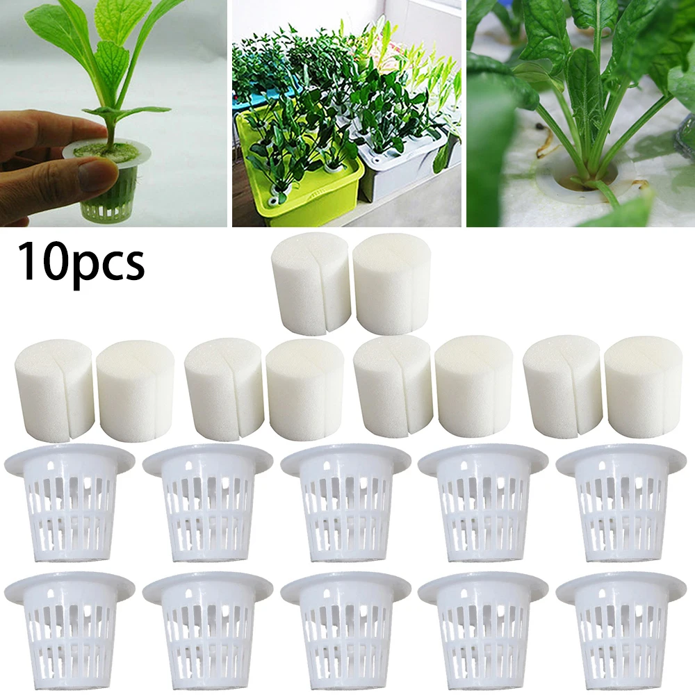 20pcs Polyurethane Sponge Garden Vegetable Soilless Cultivation Growing Media Sponge Hydroponic Baskets Planting Sponge
20pcs Polyurethane Sponge Garden Vegetable Soilless Cultivation Growing Media Sponge Hydroponic Baskets Planting Sponge