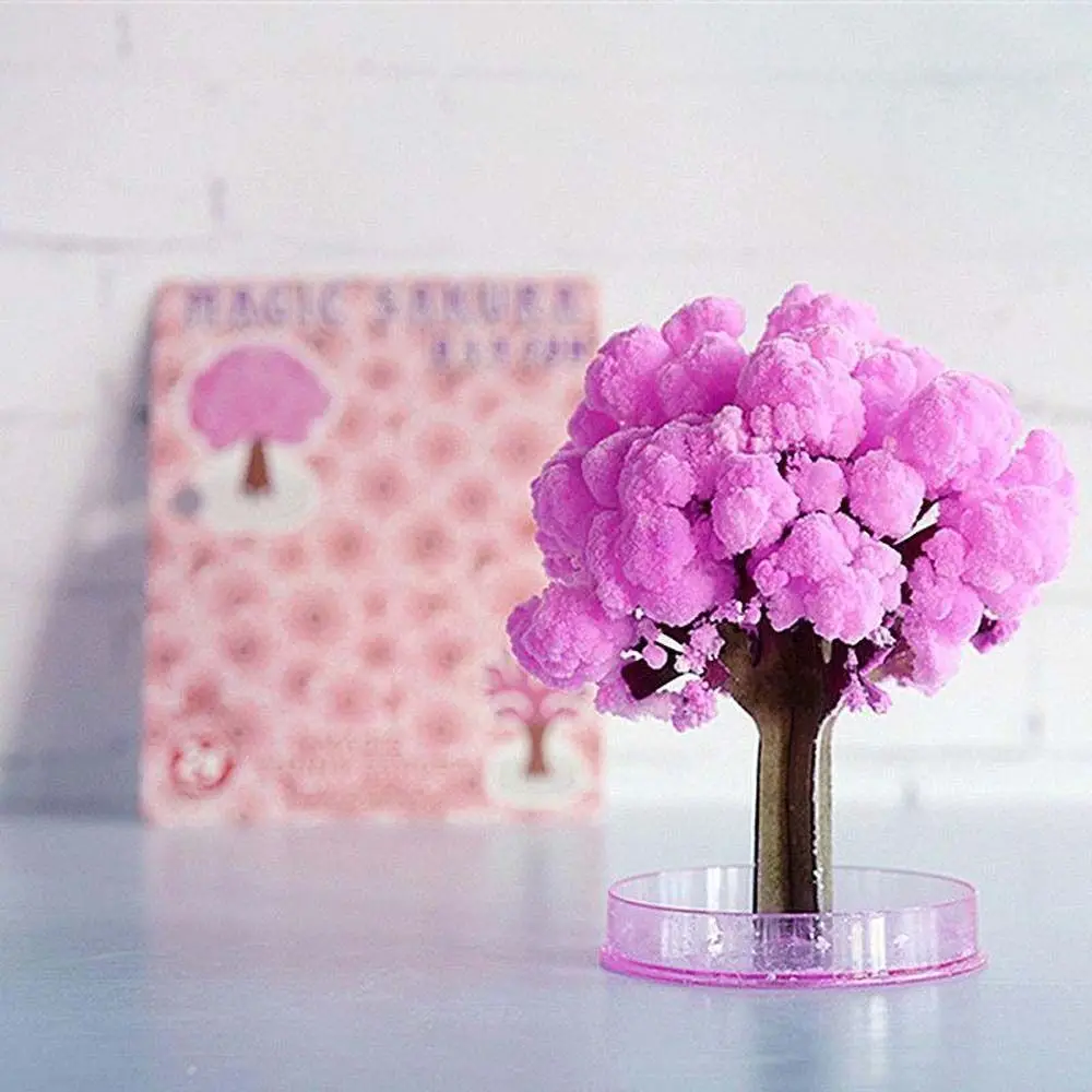 Декоративная бумага Cherrytree, научные игрушки, волшебное растущее дерево, Сакура, хрустальные деревья, волшебная бумага, японский рабочий стол, цветение вишни
Декоративная бумага Cherrytree, научные игрушки, волшебное растущее дерево, Сакура, хрустальные деревья, волшебная бумага, японский рабочий стол, цветение вишни