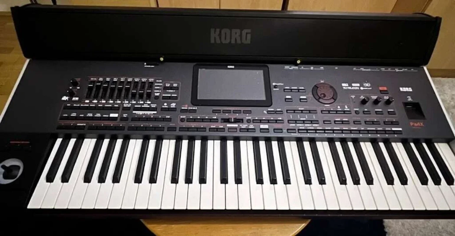 

Summer discount of 50% HOT SALES FOR Korg Pa 4x 61 Button Keyboard (Oriental)