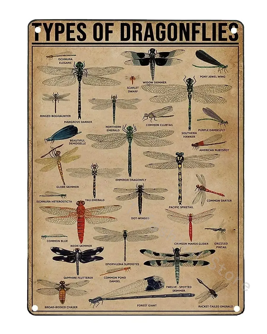 Types Of Dragonflies Metal Signs Dragonfly Knowledge Popular Science Guide Room Club Farm Wall Decor 12x18 In
Types Of Dragonflies Metal Signs Dragonfly Knowledge Popular Science Guide Room Club Farm Wall Decor 12x18 In