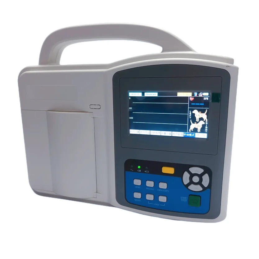 Hot Sale Automatic Interpretation Portable Ecg Ekg Cardiograph Machine Veterinary Ecg Machine For Pets
Hot Sale Automatic Interpretation Portable Ecg Ekg Cardiograph Machine Veterinary Ecg Machine For Pets