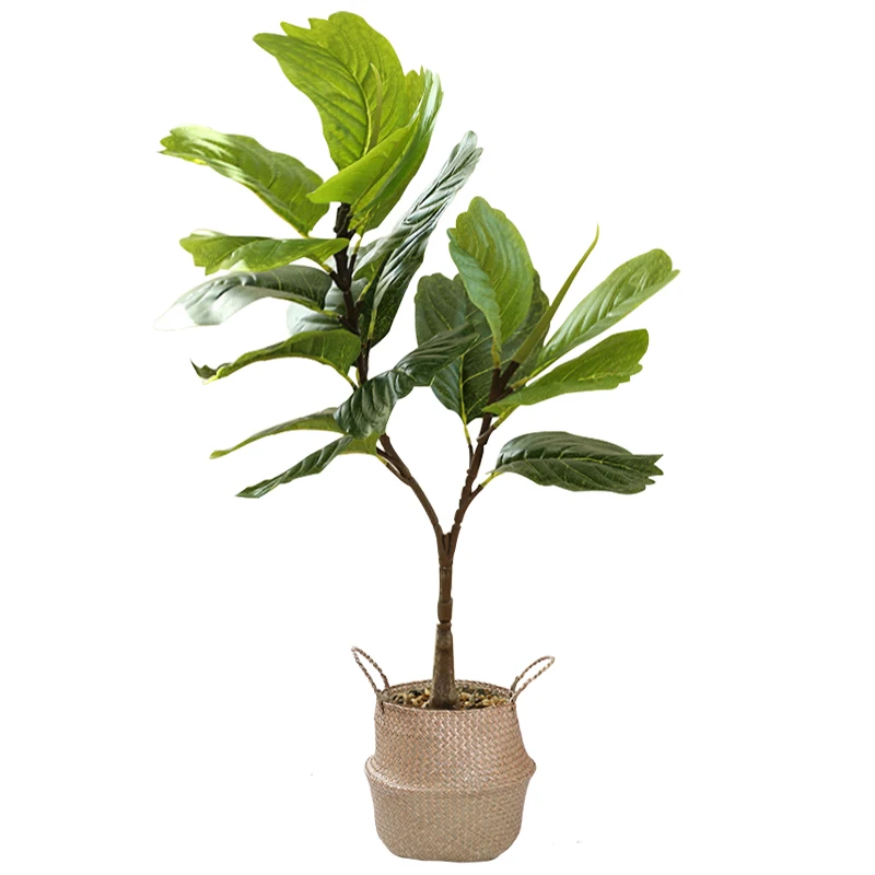 67cm 2 Forks Large Artificial Ficus Plants Fake Tree Branch Plastic Banyan Leaves Tropical Rubber Fronds For Home Garden Decor
67cm 2 Forks Large Artificial Ficus Plants Fake Tree Branch Plastic Banyan Leaves Tropical Rubber Fronds For Home Garden Decor