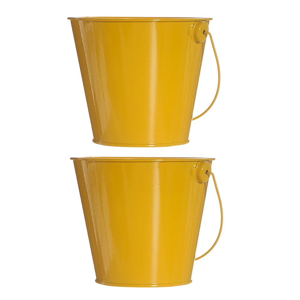2 Pcs Mini Bucket Child French Fry Flower Pots for Indoor Plants Tinplate Succulent
2 Pcs Mini Bucket Child French Fry Flower Pots for Indoor Plants Tinplate Succulent