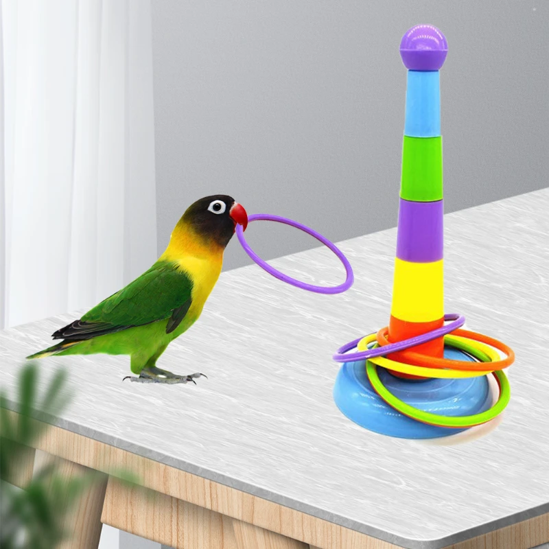 Mini Iron Ring Toys Suitable for Parrots Intellectual Development Games Colorful Ring Bird Activity Training Toys Parrot Toy
Mini Iron Ring Toys Suitable for Parrots Intellectual Development Games Colorful Ring Bird Activity Training Toys Parrot Toy