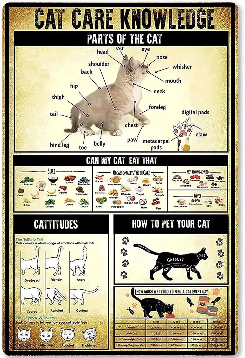 Cat Care Knowledge Print Poster Metal Tin Signs Parts Of The Cat Popular Science School Garden Farm Hospital Information
Cat Care Knowledge Print Poster Metal Tin Signs Parts Of The Cat Popular Science School Garden Farm Hospital Information