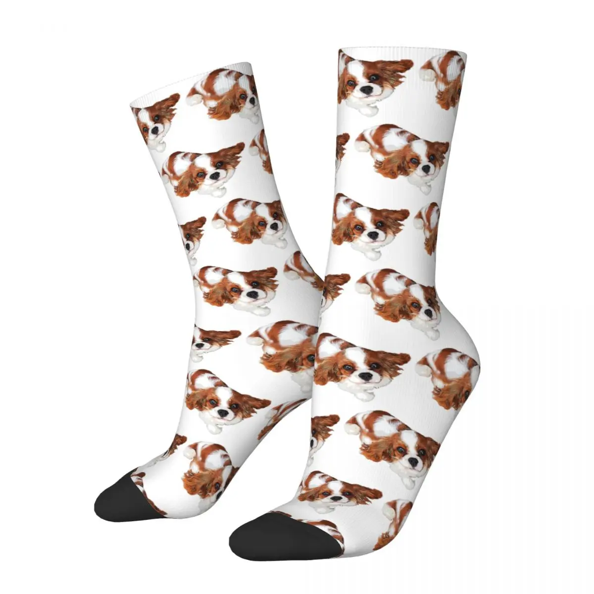Cavalier King Charles Spaniel Looking Up Socks Harajuku High Quality Stockings All Season Long Socks for Man's Woman's Gifts 
Cavalier King Charles Spaniel Looking Up Socks Harajuku High Quality Stockings All Season Long Socks for Man's Woman's Gifts