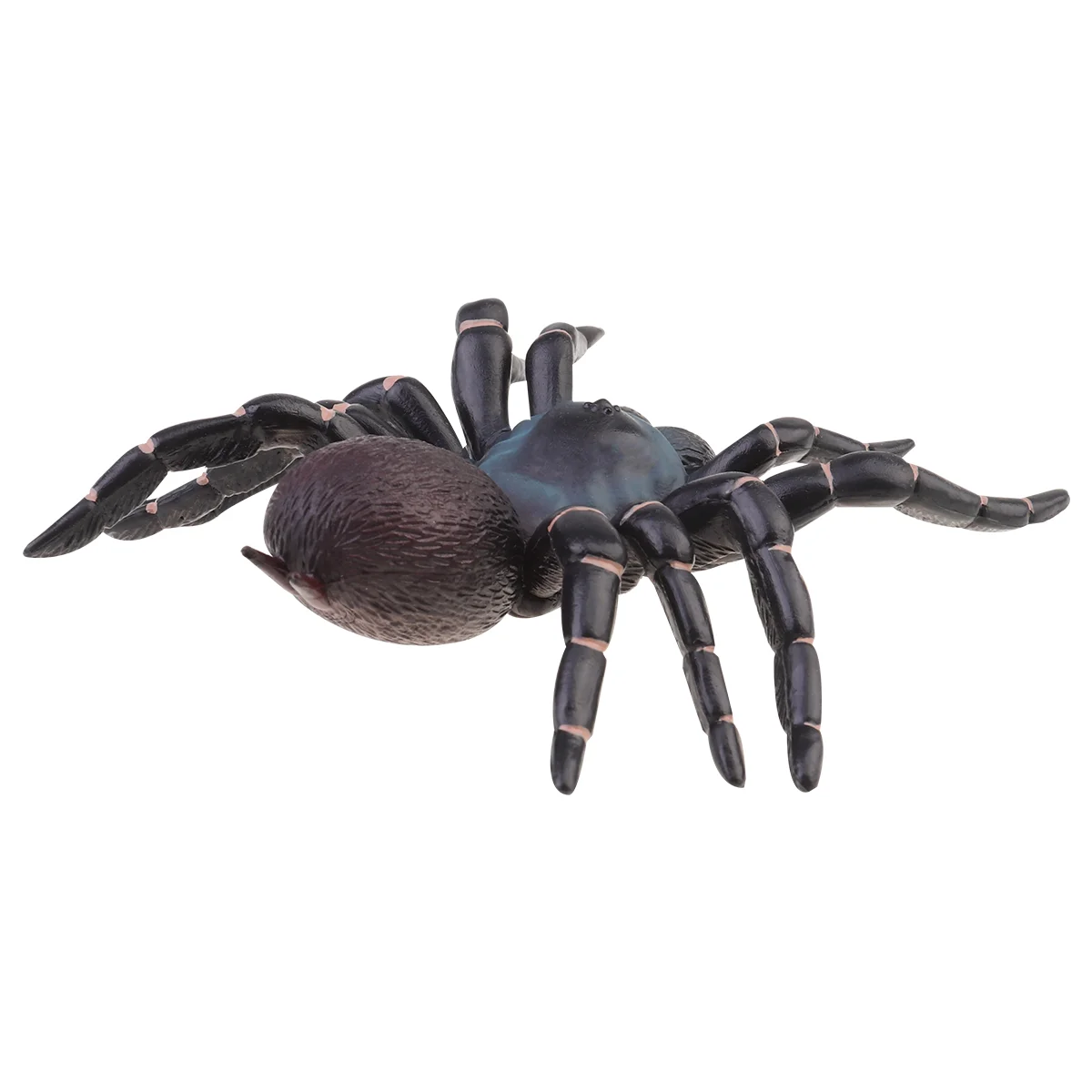 Artificial Simulation Spider Child Halloween Decorations Plastic Realistic Spiders
Artificial Simulation Spider Child Halloween Decorations Plastic Realistic Spiders