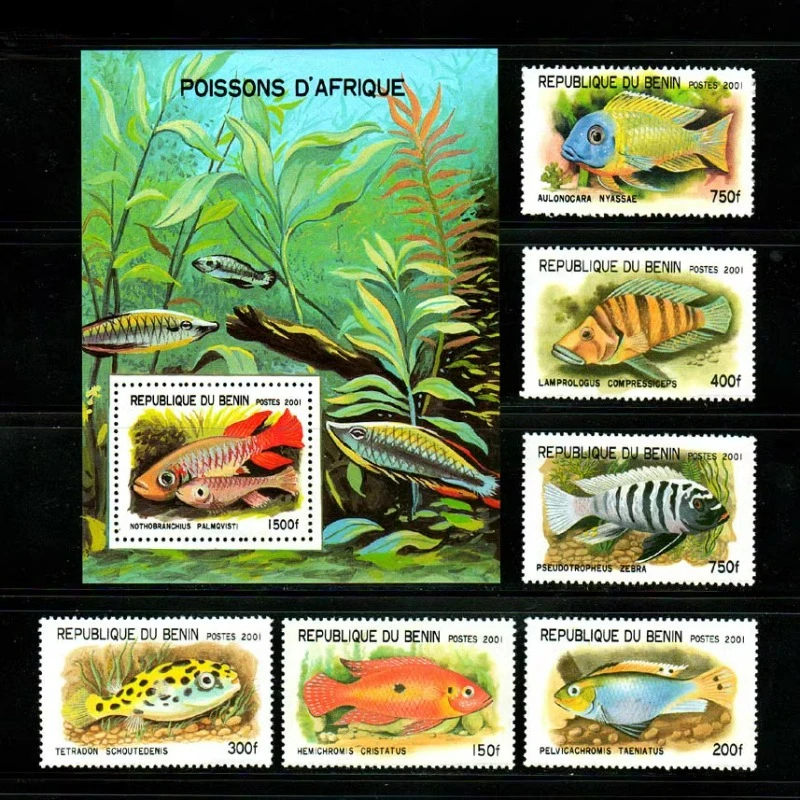 6 шт. + 1, Бенин, 2001, штампы для рыбы, настоящий оригинальный штамп для коллекции, MNH
6 шт. + 1, Бенин, 2001, штампы для рыбы, настоящий оригинальный штамп для коллекции, MNH