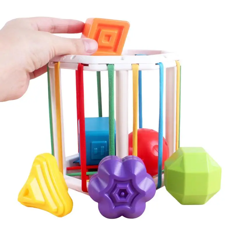 

Sensory Shape Toys Sorter Toys Colorful Bungee Cord Colorful Sensory Sorting Bin Fine Motor Skill Early Learning Preschool