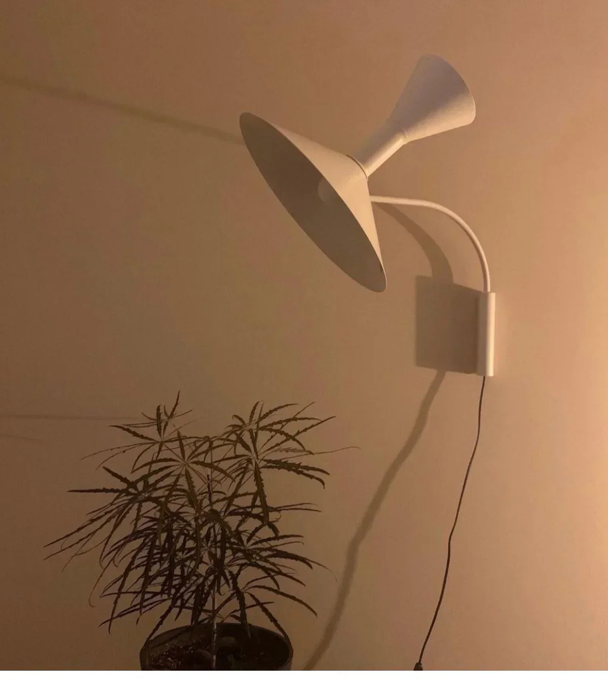 Nordic Medieval Horn Wall Lamp Designer Creative Living Room Simple Rotatable Wall Light
Nordic Medieval Horn Wall Lamp Designer Creative Living Room Simple Rotatable Wall Light