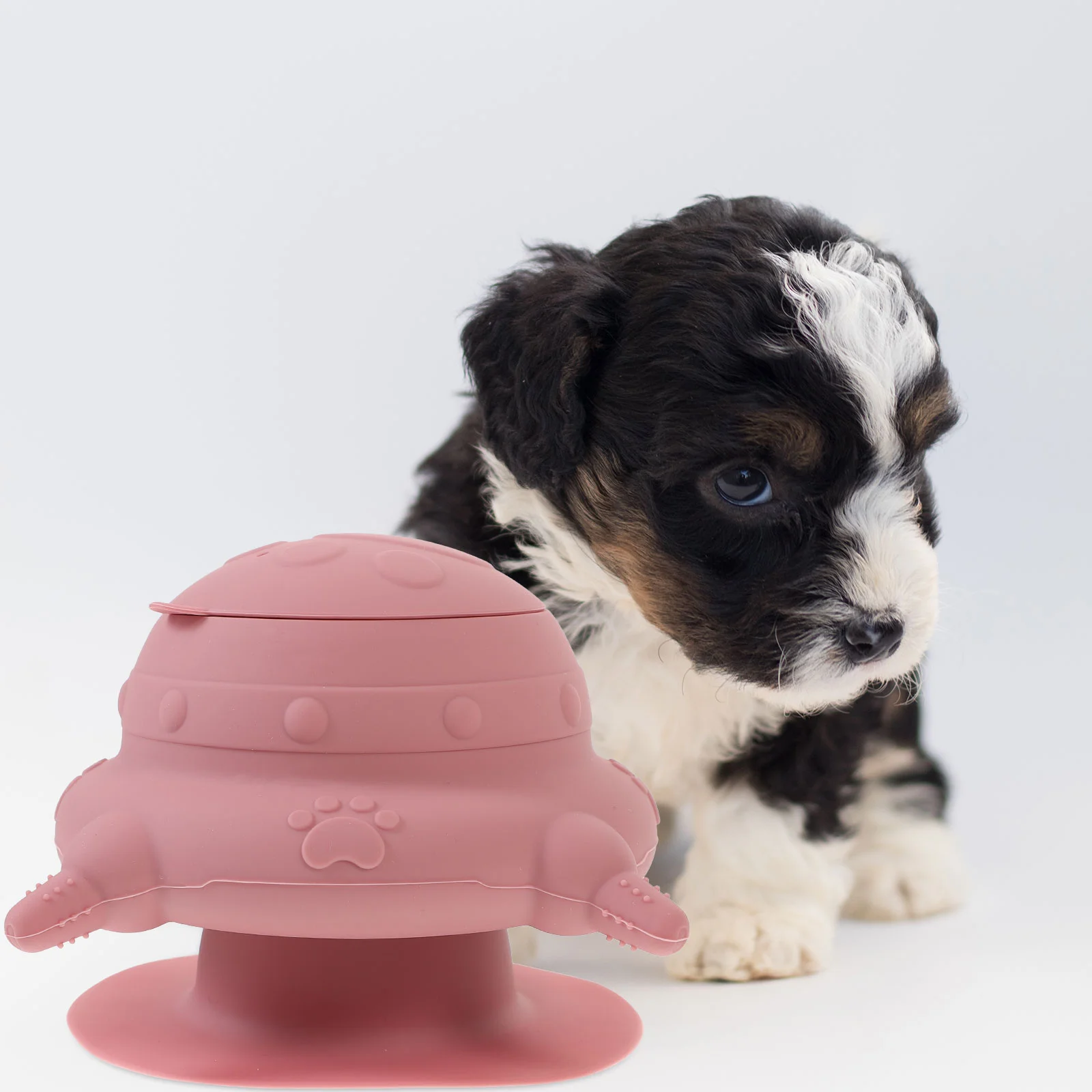 Puppy Milk Feeders Multiple Puppies Kitten Nursing Bottles Silicone 4 Nipples Small Pet Nursing Bowl Kitten Puppy Feeding
Puppy Milk Feeders Multiple Puppies Kitten Nursing Bottles Silicone 4 Nipples Small Pet Nursing Bowl Kitten Puppy Feeding