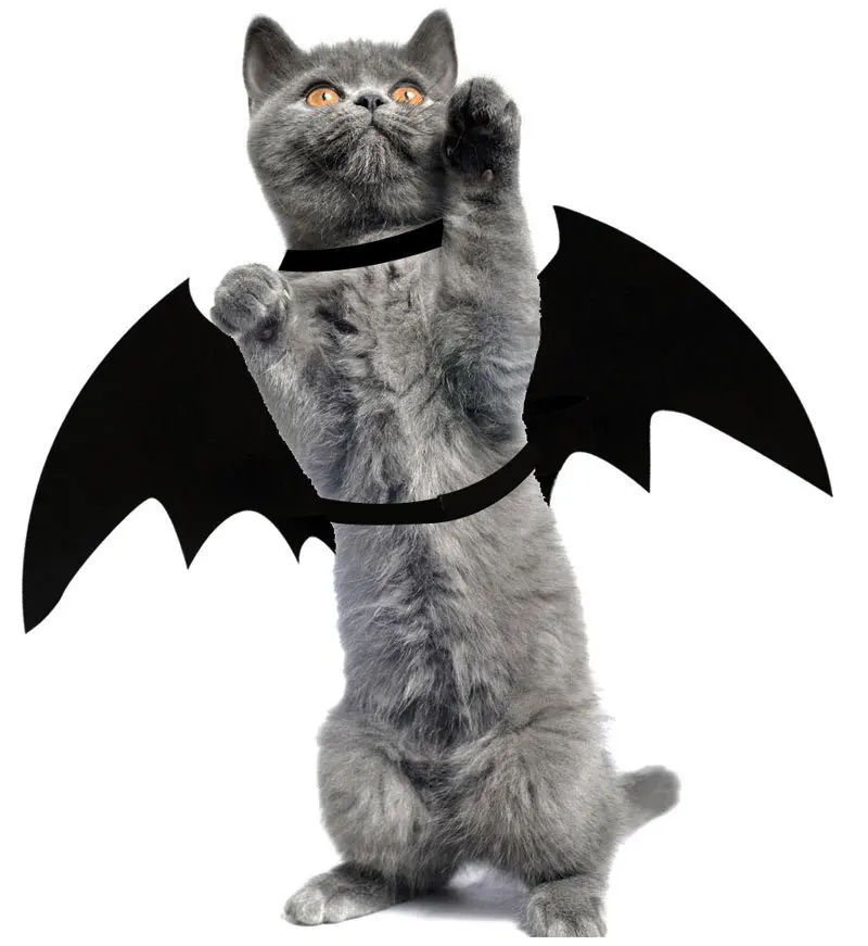 

Halloween Pet Cat Dog Bat Wings Harness Costume Pet Cosplay Prop Funny Artificial Wing for Dogs and Cats S M L