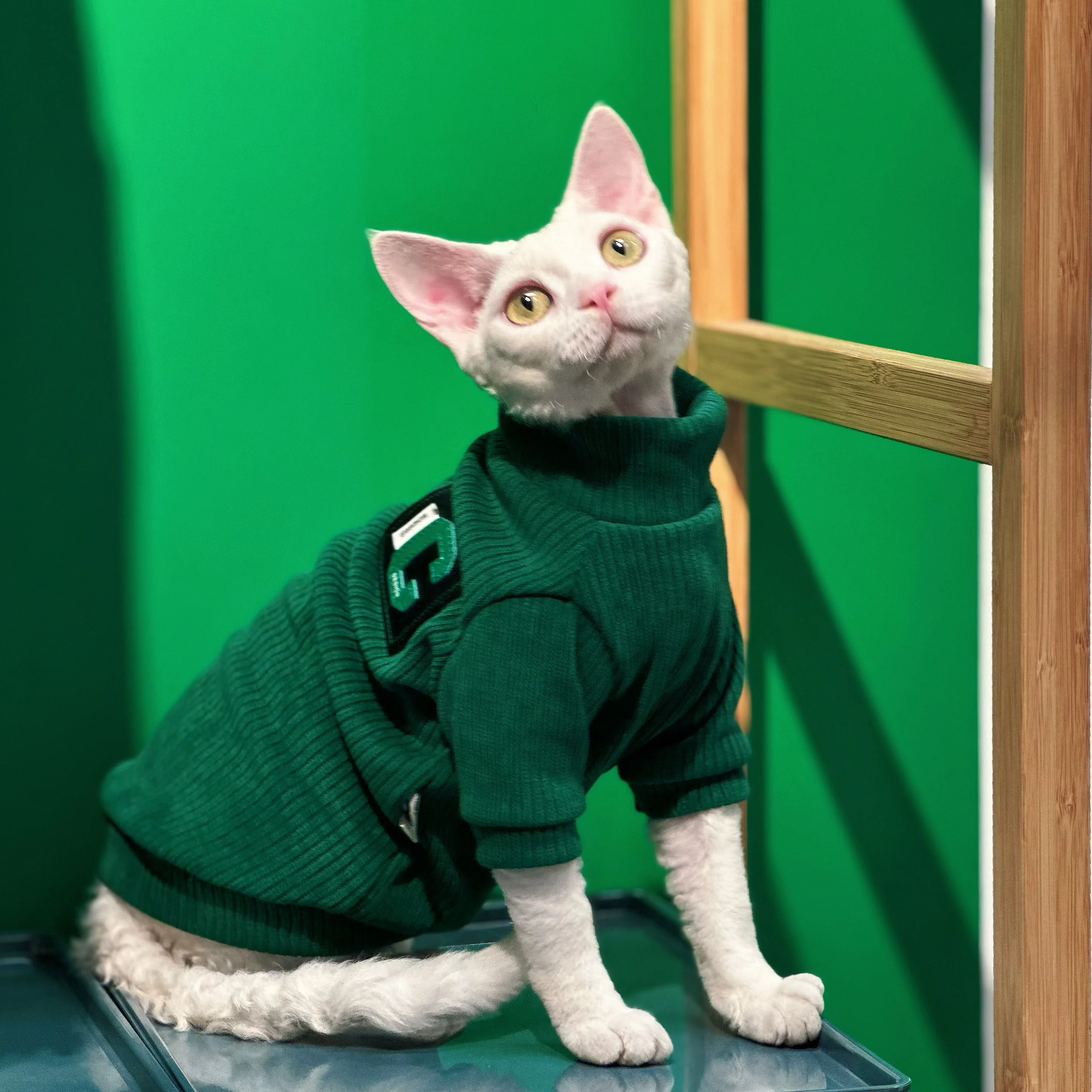 Conis Cat Apparel Kitty, Autumn and Winter, Chenille Fleece, Sphinx Hairless Cat Clothes, Devon Rex Costume, Sphynx Cat Outfits
Conis Cat Apparel Kitty, Autumn and Winter, Chenille Fleece, Sphinx Hairless Cat Clothes, Devon Rex Costume, Sphynx Cat Outfits