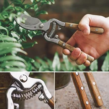 NEW Plant Trim Horticulture Pruner Hand Pruner Bonsai Plant Tree Trimming Scissors Fruit Branch Clipper Gardening Tool
NEW Plant Trim Horticulture Pruner Hand Pruner Bonsai Plant Tree Trimming Scissors Fruit Branch Clipper Gardening Tool